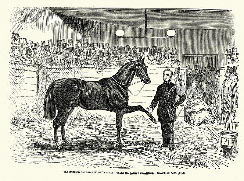 John Solomon Rarey一个19世纪的马语者，训练一匹难驾驭的马，历史